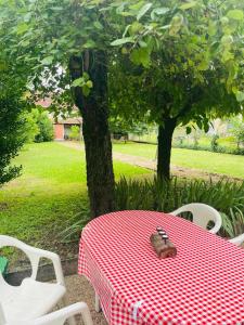 Maison 4 chambres Capdenac-Gare centre - Aveyron