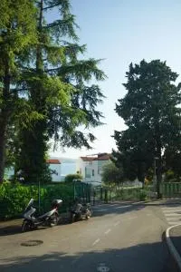 Elly - 德贝利提克