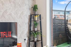 Golden Desert with FREE Parking - Netflix