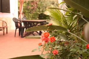 Spiaggia LazzarettoHouse img19