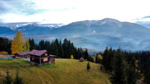 Cabana din Munți