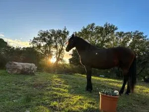 Les 3 Chênes - Puechredon