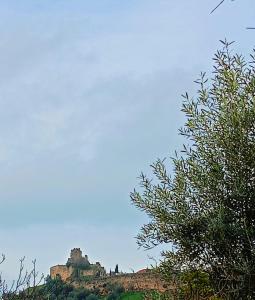 Casa D Dinis by NaturAlegre