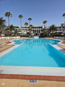 Bungalow LIDO-Playa Roca residence with sea front access - Free AC - Wifi