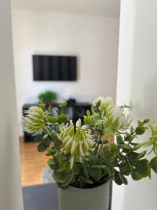 Peters Cosy Budapest Suite