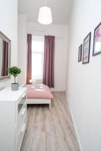 Extra central brand new and large AC apartment