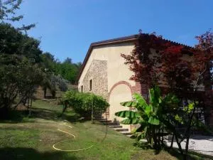 Istanti - Bambù - Tarantasca