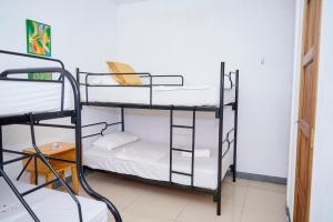 Terraza Catedral Hostel