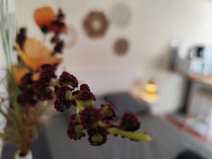 Appartements LE NID 2 QUIMPER BY Nid'Ouest : photos des chambres