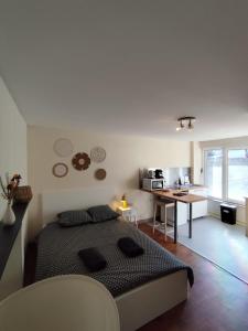 Appartements LE NID 2 QUIMPER BY Nid'Ouest : photos des chambres