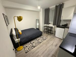 Spacious Studio - Central London South Kensington - Harrods