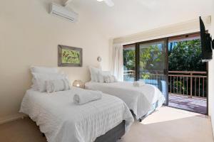 Tristania Little cove