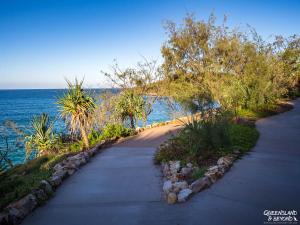 Tristania Little cove