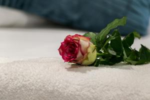 2 BD Penthouse in the heart of the Mother City