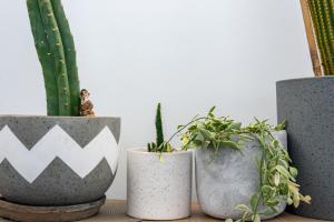 Light-Filled Converted Warehouse 2 Bedroom Apartment in Prahran