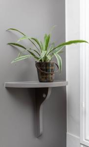 Homely 1 bedroom apartment in Fulham!