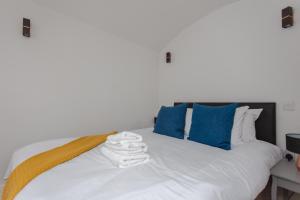 Spacious and Modern Apartment in Pimlico