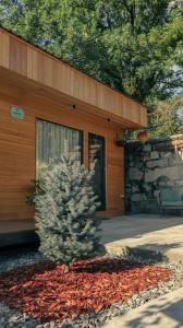 Garden rooms in Kutaisi
