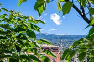 Maisons de vacances campdebaseventoux, vue sur le ventoux insolite : photos des chambres