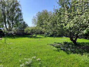Haus Reinhild - Fewo 2 in der 1 Etage