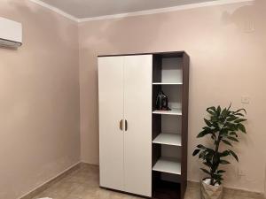 Nile view luxury apartment