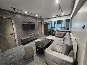 50nuante de gri - 索洛特维诺