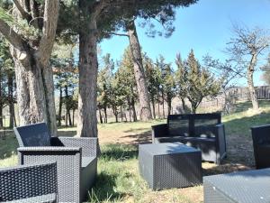 Appartements Grand et bel appartement idealement situe ! Parfait pour les familles ! : photos des chambres