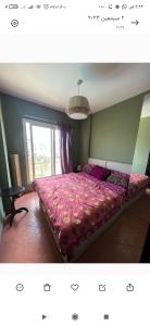 استوديو للايجار غرفه وصاله بالمطبخ والحمام