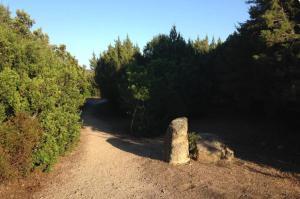 Maisons de vacances Villa pieds dans l-eau sur la plage : photos des chambres