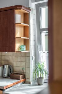 Apartament Średnia 16