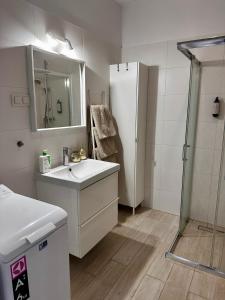 Apartment A85 City Centre, free parking