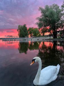 Apartament Ptasie Radio