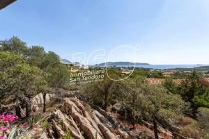 VIllino Ginepro img23