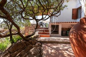 VIllino Ginepro img24