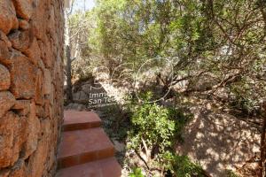 VIllino Ginepro img31