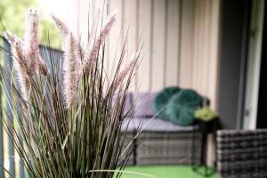 Mano Jūra 2 -Pasaulis , Kunigiškiai