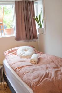 Singasteinn guesthouse