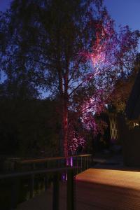 Sodyba Mėnulio Slėnis