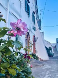 Il cortile fiorito - Scala