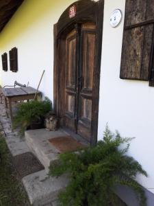 Grafonževa domačija