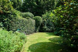 Appartements Beautiful 1900 house full equipped, 4bdrm+ garden! : photos des chambres