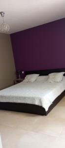 Villas Bienvenue a l hacienda : photos des chambres