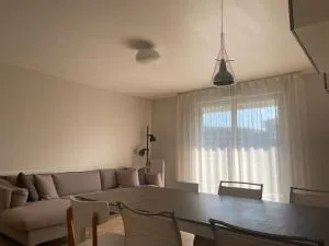 Sunny Freshness - 安东尼