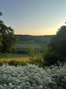 Château de Champrenault, voyagez dans le temps