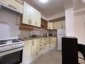 Jurukov City Park Apartment