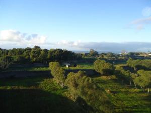 Cantinho do Castanheiro