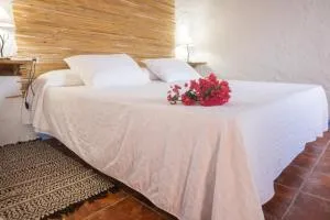 Casa Rural Aloe Vera - Huércal-Overa