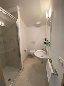 Lake pool&garden house