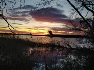Ferienwohnung Beetzseeheide