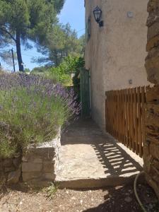 Chambre indépendante au calme